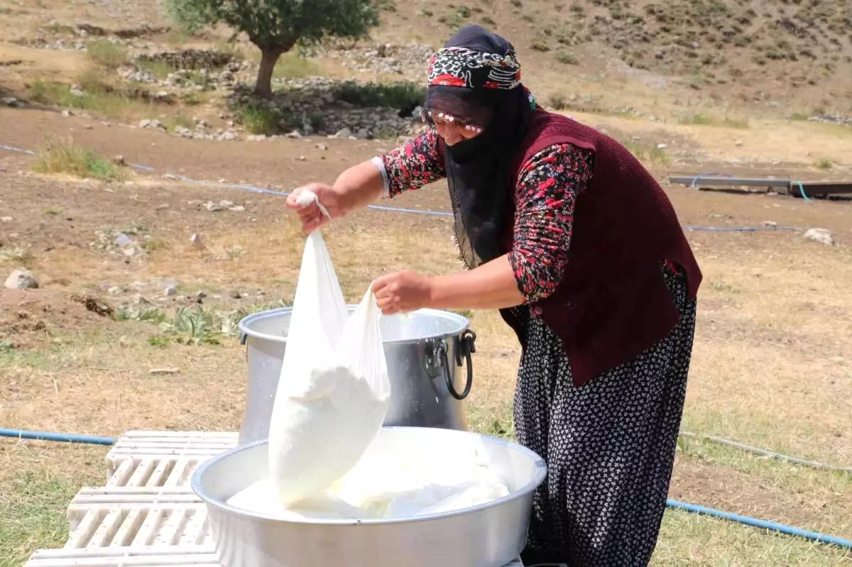 Erzincan haberleri! Kahvaltı sofralarına 3 bin rakımdan gelen lezzet: Erzincan tulum peyniri