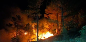Konya 3. sayfa haberi | Konya'da ormanlık alanda çıkan yangın söndürüldü