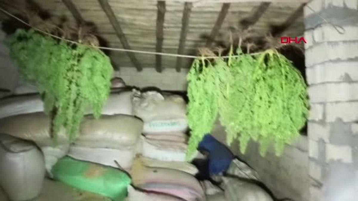 Son dakika haber... ŞANLIURFA'DA UYUŞTURUCU OPERASYONU 1 GÖZALTI