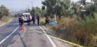 Akşam evine dönmedi, yol kenarında ölü olarak bulundu