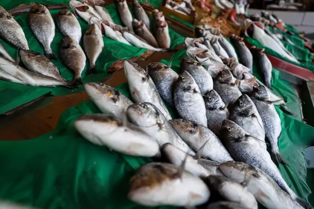 'Vira Bismillah' diyen balıkçılar, tezgahları şenlendirdi! İşte sezonun ilk fiyatları 'Vira Bismillah' diyen balıkçılar, tezgahları şenlendirdi! İşte sezonun ilk fiyatları