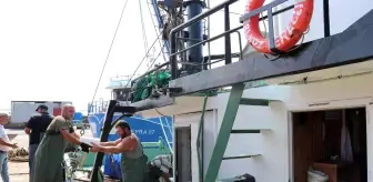 Karadeniz'de tekneler kasa kasa balıkla döndü