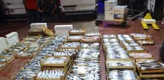 Kocaeli gündem haberi: Kocaeli'de balıkçılar sezonun ilk avından döndü