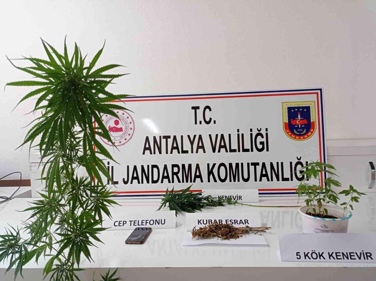 Antalya 3. sayfa haberi... Kumluca'da evin çatısında kenevir ele geçirildi