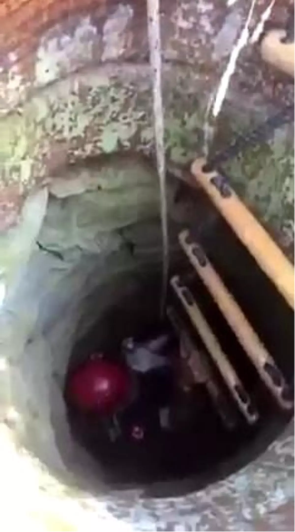 Kuyuya düşen keçi itfaiye ekiplerince kurtarıldı