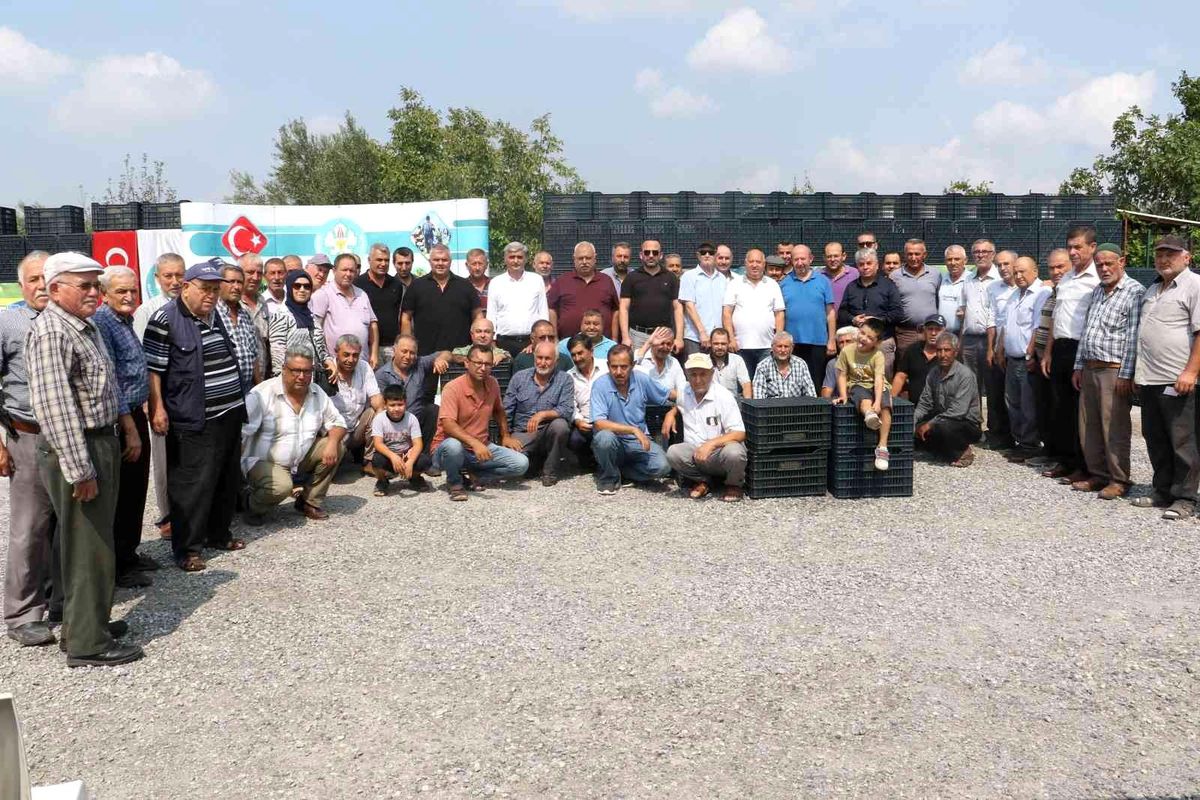 Manisa haberleri! Manisa'da 72 bin zeytin kasası üreticilerle buluştu