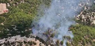 Son dakika haberi | Manisa'daki orman yangını kontrol altına alındı