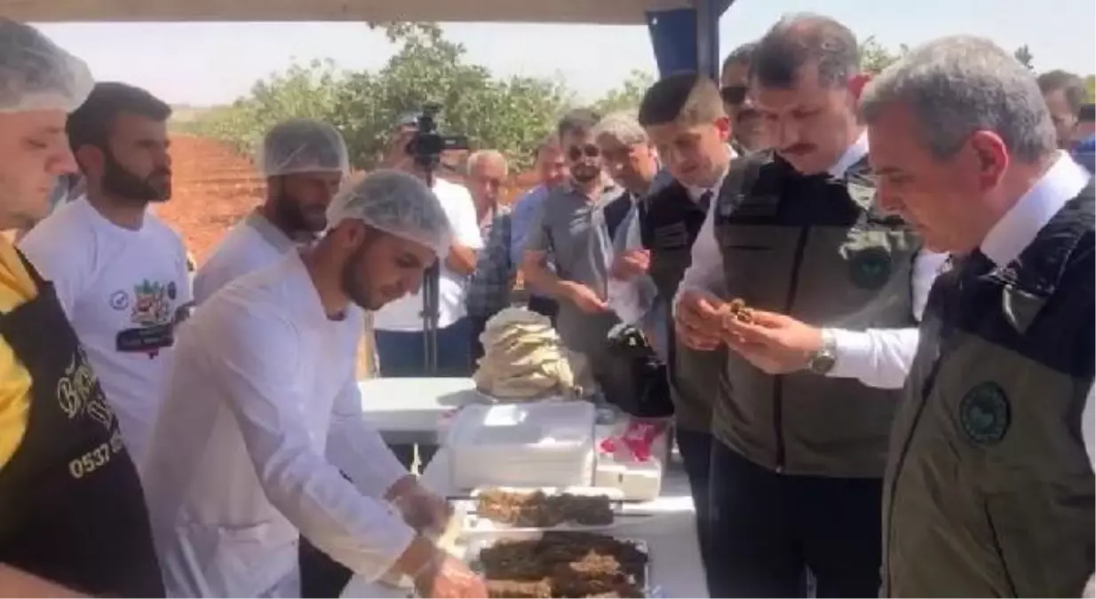 Şanlıurfa gündem haberleri... ŞANLIURFA'DA FISTIK KEBABI ZİYAFETİ