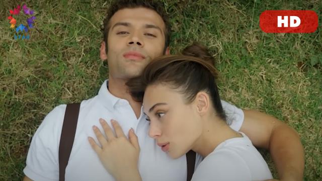 Star TV CANLI izle! Star TV HD kesintisiz donmadan canlı izleme linki! Star TV CANLI 4K İZLE!
