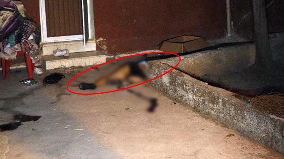 'Yeter' çığlıkları mahalleyi inletti! 2 çocuk annesi kadın, başı taşla ezilerek öldürüldü