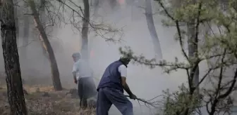 Son dakika haberleri! Hassa'daki ormanlık alanda çıkan yangın kontrol altına alındı