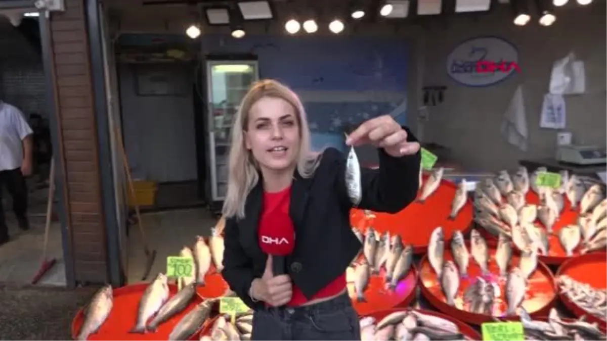 Karadeniz'de istavrit bolluğu; fiyatı yarıya düştü