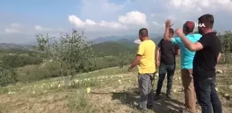 Sağanak yağışla birlikte gelen dolu, çiftçinin mahsulünü vurdu