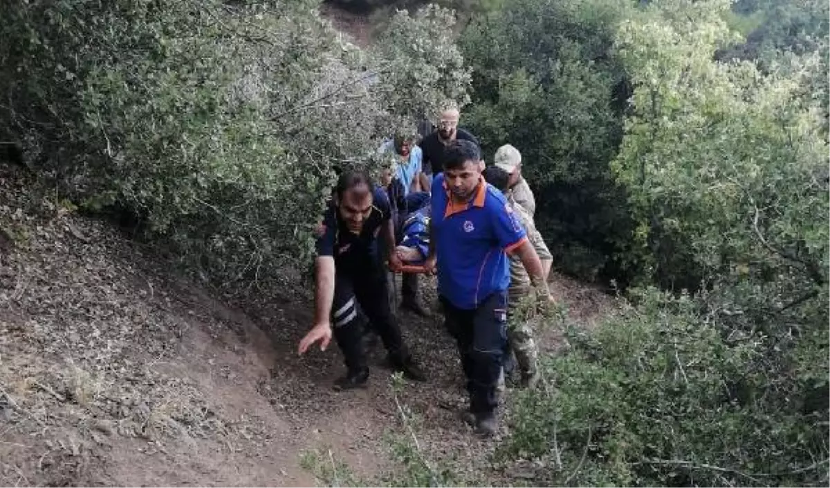 Ağaçtan düşüp ayağı kırılan kadına AFAD kurtardı