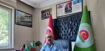 Denizli gündem haberi... Çivril'de badem hasadına başlandı