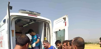 Son Dakika | Elazığ'da kamyonet şarampole yuvarlandı: 3 yaralı
