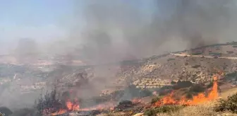 Gaziantep haberleri | Nizip'te orman yangını