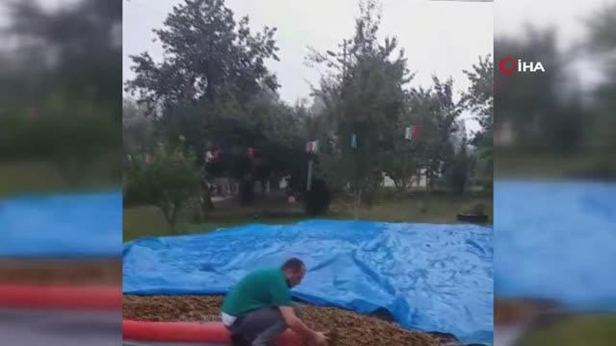 Ordu haber: Ordu'da sağanak yağış etkili oldu