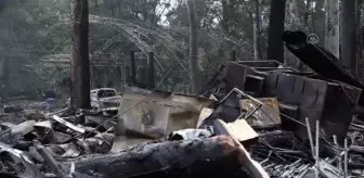 Rusya'nın saldırısı altındaki Ukrayna (2)