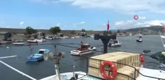 Zonguldak haberleri | Alaplı'da 150 tekne limanda mahsur kaldı