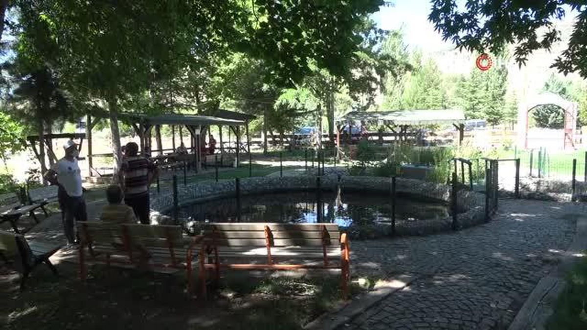 Bu balıkların gizemi çözülemiyor