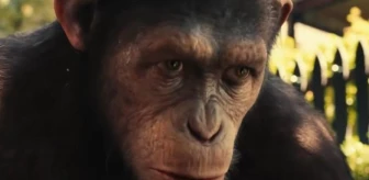 Maymunlar Cehennemi maymunlar gerçek mi?