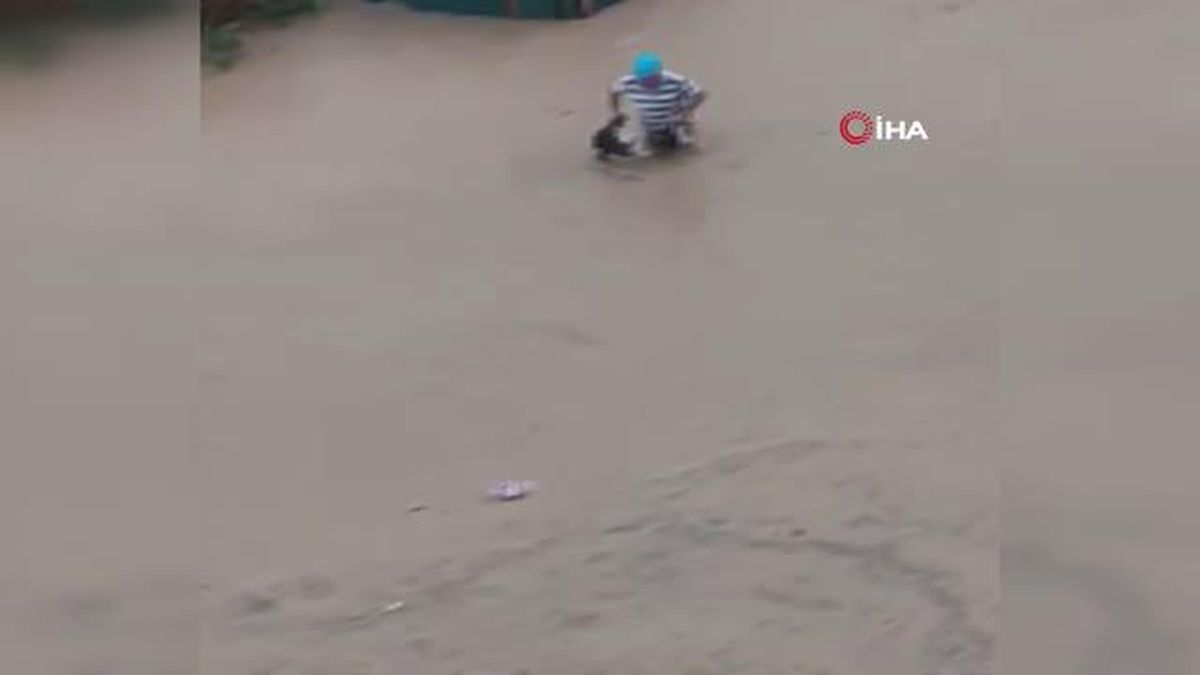 Son dakika haber! Selde canını hiçe sayıp hayvanlarını boğulmaktan böyle kurtardı