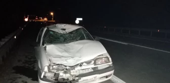 Sinop gündem haberleri: Sinop'ta otomobilin ineklere çarpması sonucu bir kişi yaralandı