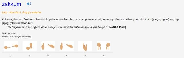 Zakkum ne demek? Zakkum ağacı nedir? Zakkum ağacı hikayesi!