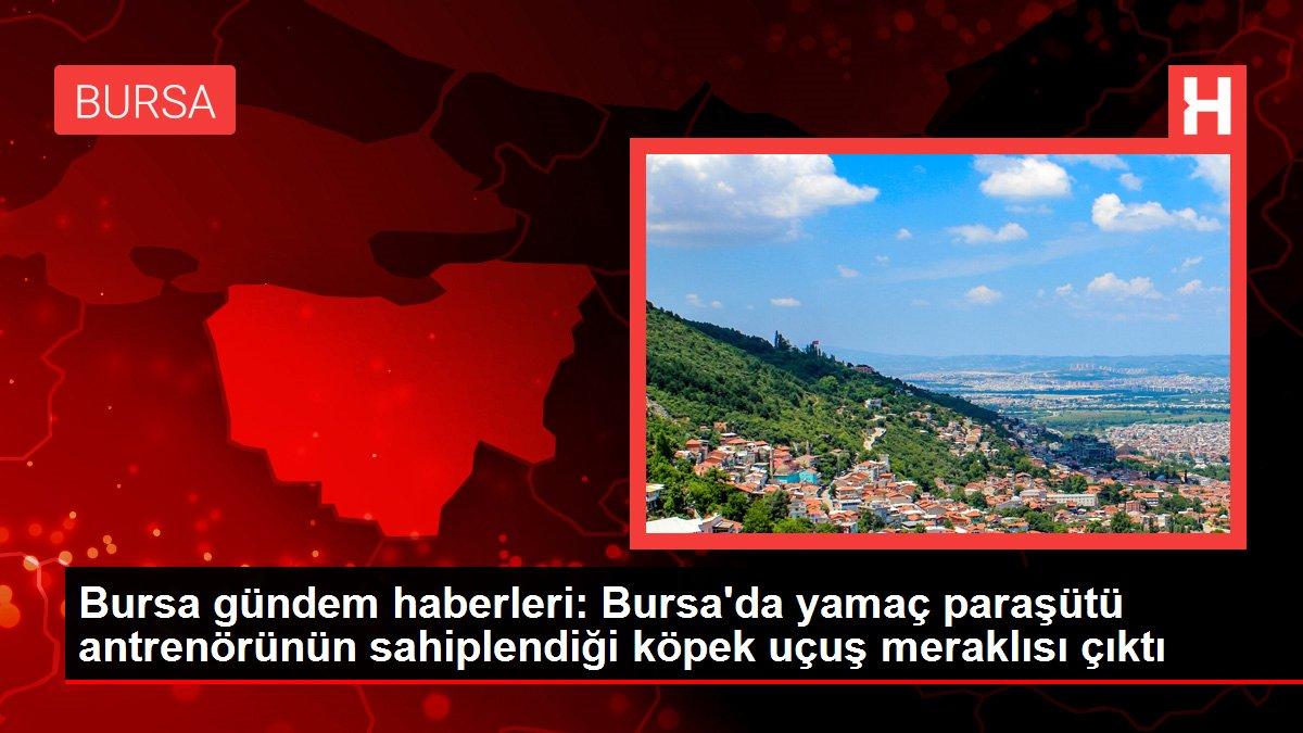 Bursa gündem haberleri: Bursa'da yamaç paraşütü antrenörünün sahiplendiği köpek uçuş meraklısı çıktı