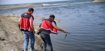 Son Dakika | Hatay'da balık ölümleri görülmesi üzerine inceleme başlatıldı
