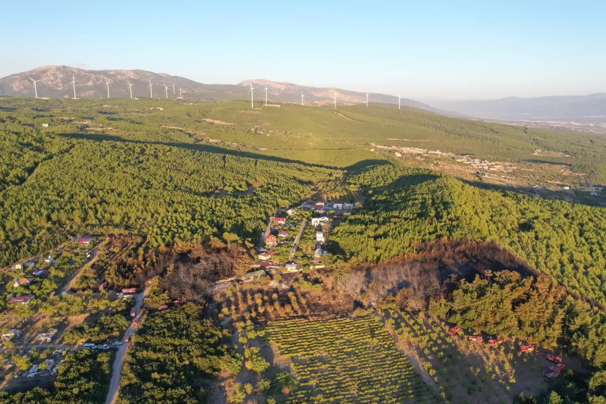 Son dakika haberleri... İzmir'de çıkan orman yangın kontrol altına alındı