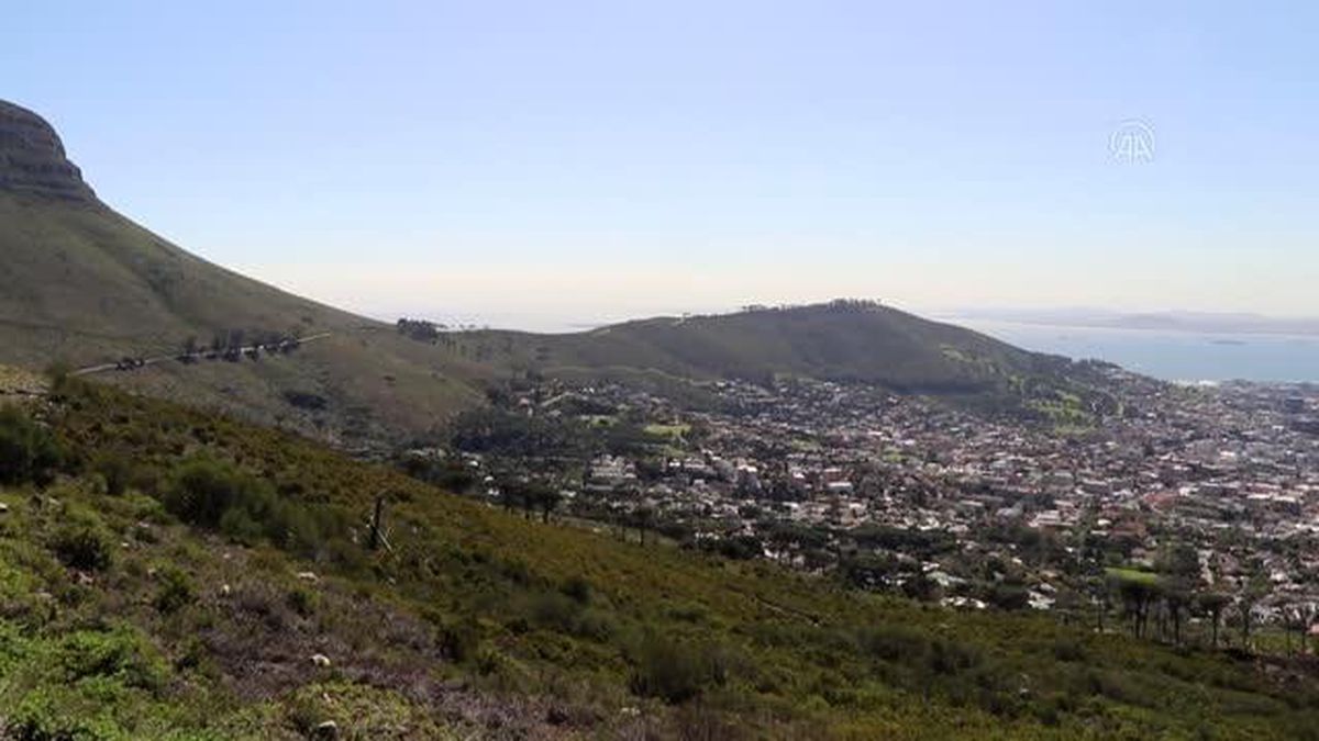 CAPE TOWN - Afrika'nın güney ucunda bir doğa harikası: Masa Dağı