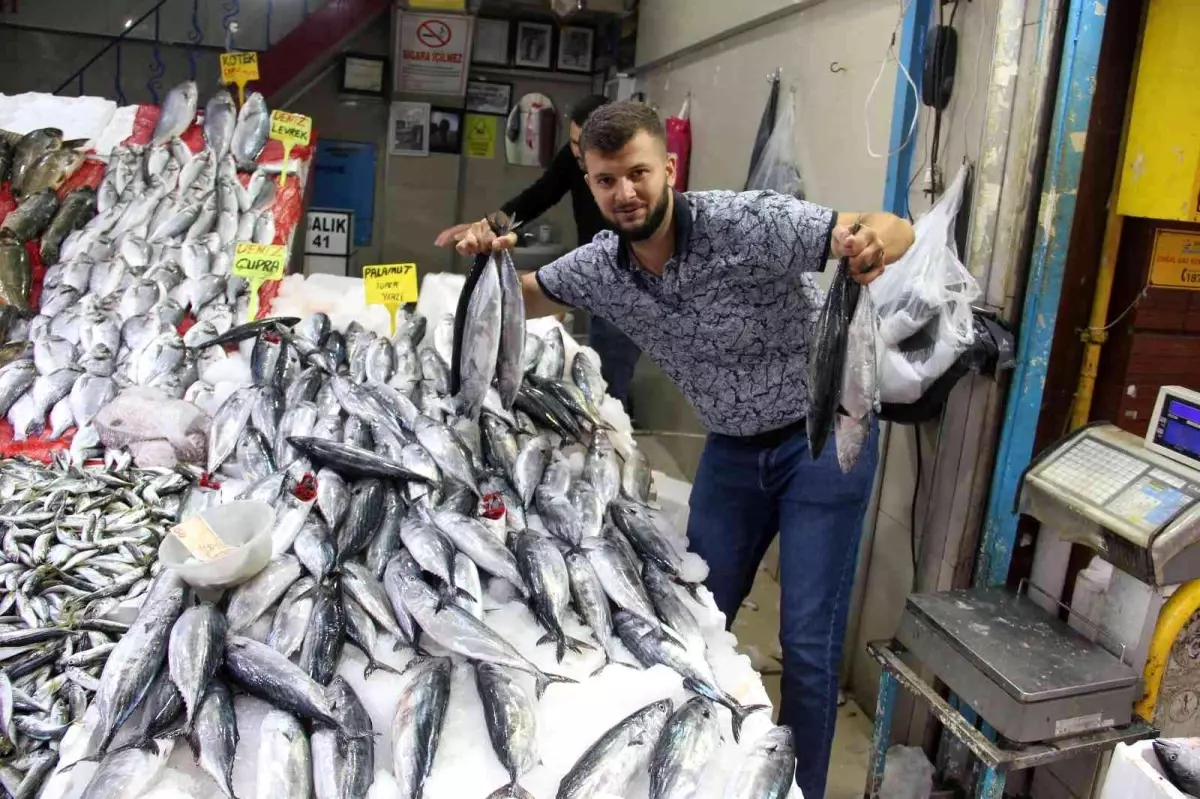 Havalar serinledi, palamut kendini gösterdi: Yaklaşık 1 kiloluk palamutlar 70 liradan satıldı