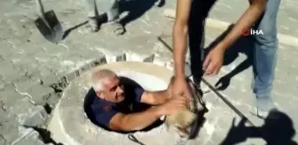 Son dakika haberleri... Kuyuya düşen yavru köpek itfaiye tarafından kurtarıldı