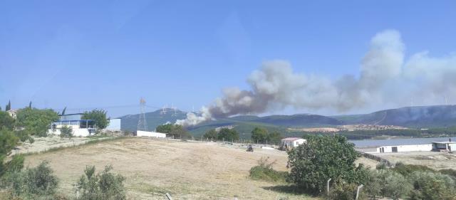 Manisa'da orman yangını! Alevler rüzgarın etkisiyle yerleşim yaklaştı, 2 mahalle tedbir amaçlı boşaltıldı