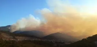 Orman yangınına müdahale ediliyor (8)