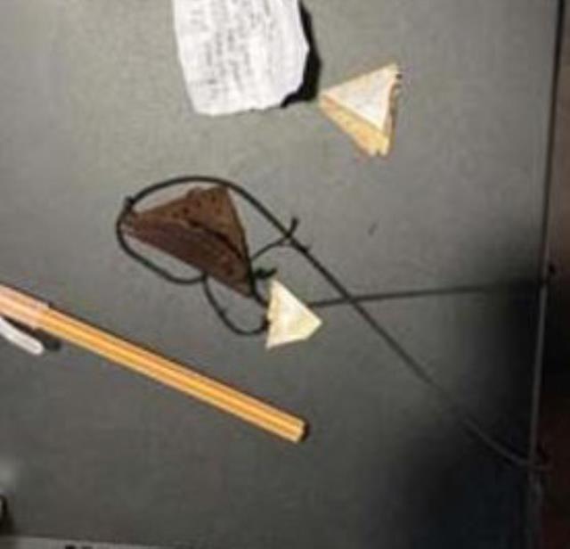 Teröristlerin korkunç planı, üst aramasında bulunan muskada ortaya çıktı