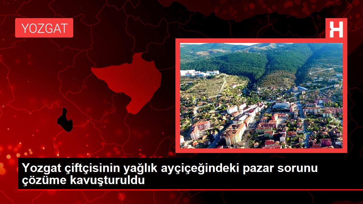 Yozgat haberleri: Yozgat çiftçisinin yağlık ayçiçeğindeki pazar sorunu çözüme kavuşturuldu