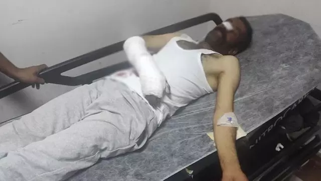 Ayı saldırısına uğrayan ve yaralanan çobanı köpekler kurtardı