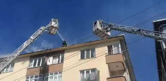 İzolasyon çalışması sırasında yangın çıktı, çatı alev alev yandı