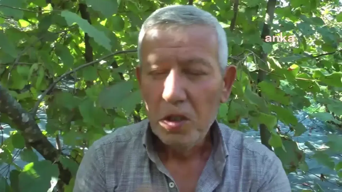 Düzce haberleri... Akçakoca Ziraat Odası Başkanı: 'Ferrero Şirketi Devlet Tarafından Denetlenmeli'