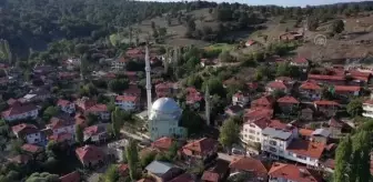 BALIKESİR - Ekim alanı artan badalan fasulyesi 4 mahallenin geçim kaynağı oldu