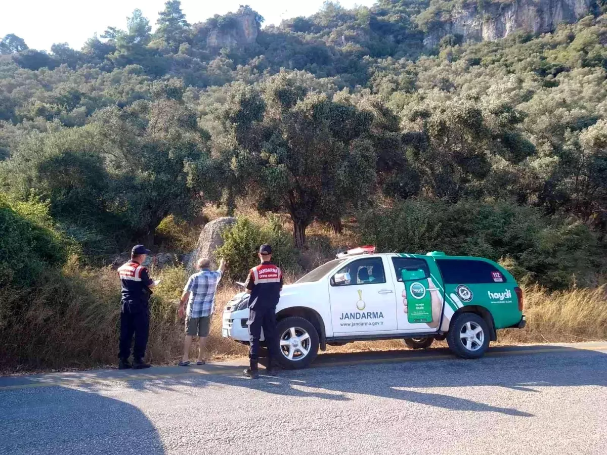 Köpeği ağaca asarak öldüren şahıs yakalandı