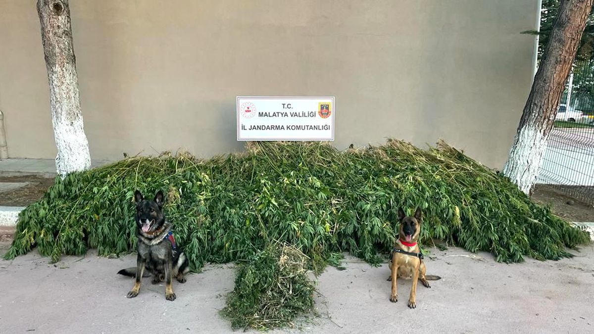 Malatya haberi! Malatya'da dronlu uyuşturucu operasyonu