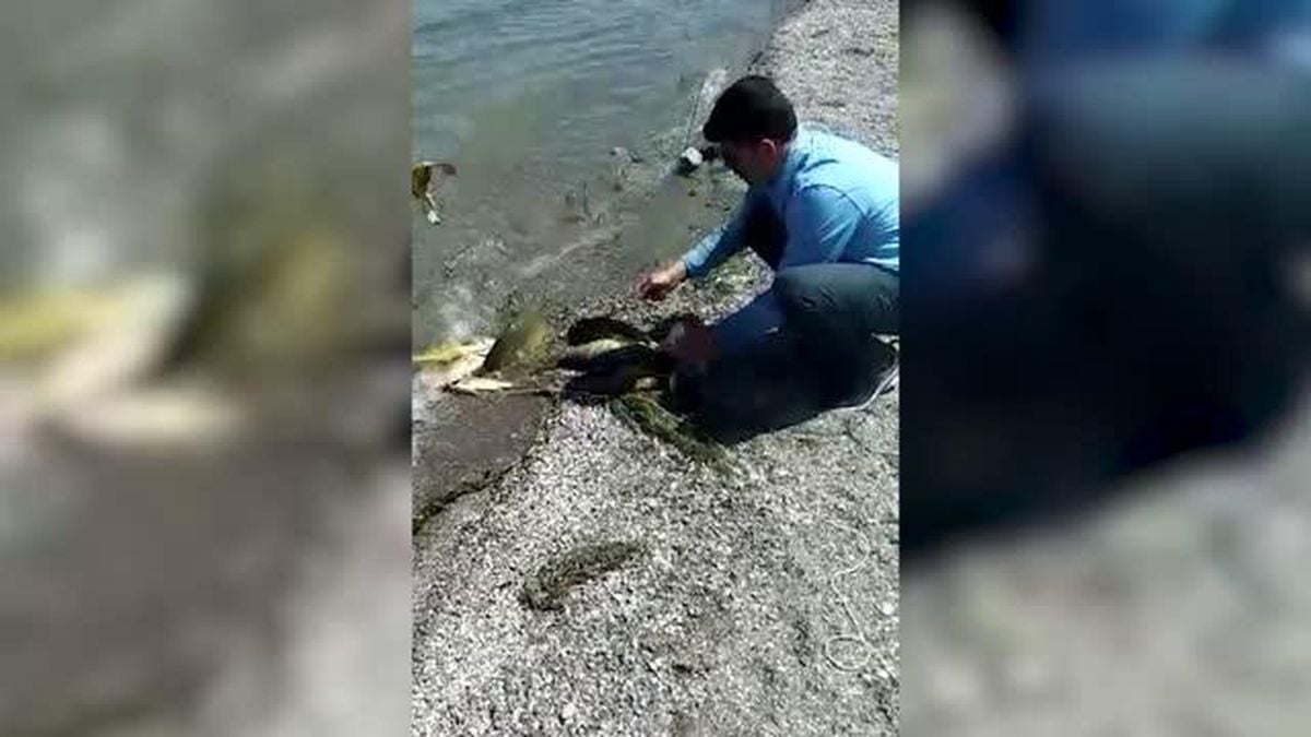 Malatya gündem: Malatya'da usulsüz balık avlayan 7 kişiye ceza kesildi
