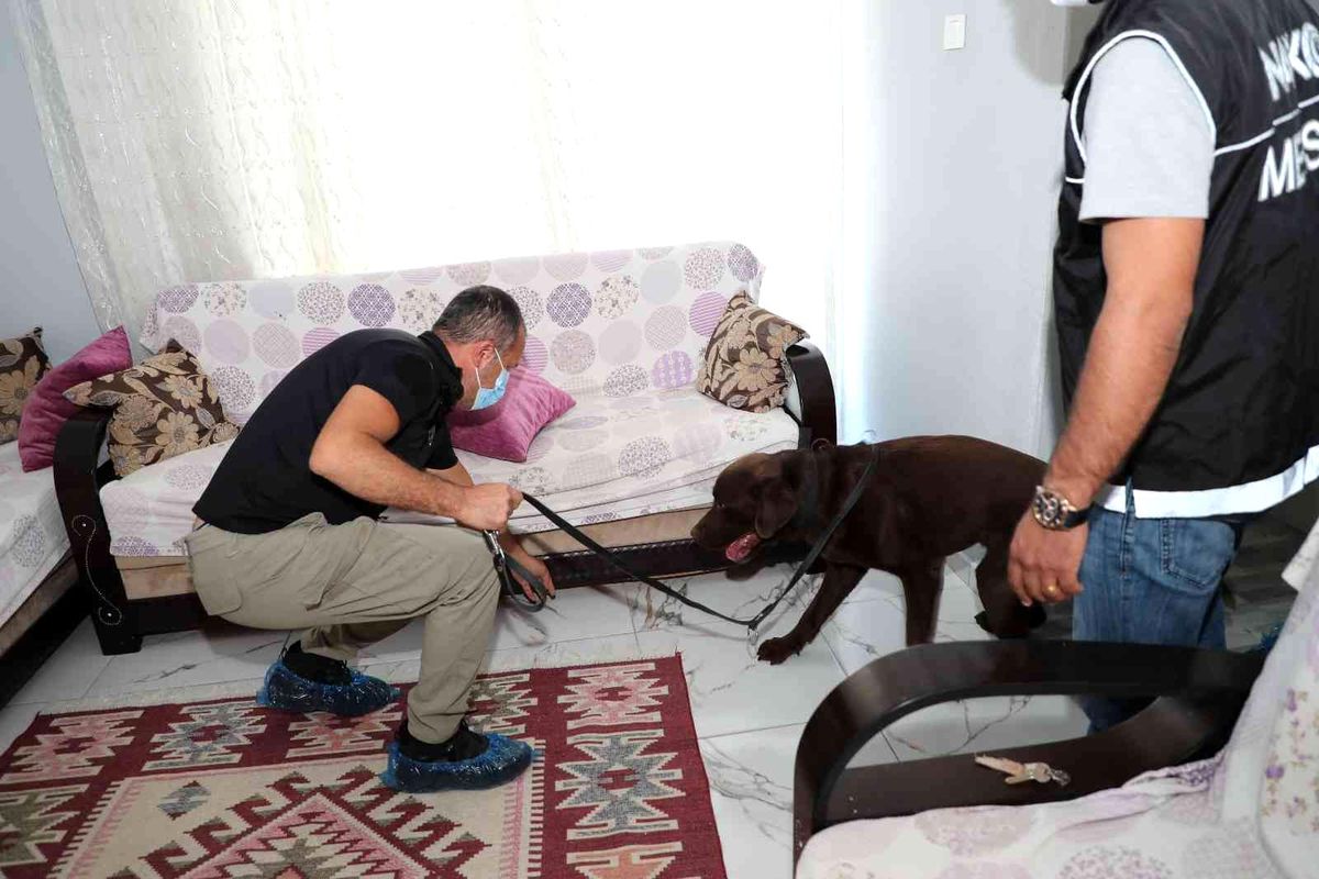 Mersin haberleri | Mersin'deki uyuşturucu operasyonunda gözaltı sayısı 67'ye çıktı