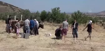 Nazım Hikmet'in 'Kadınlarımız' şiiri için klip çekildi