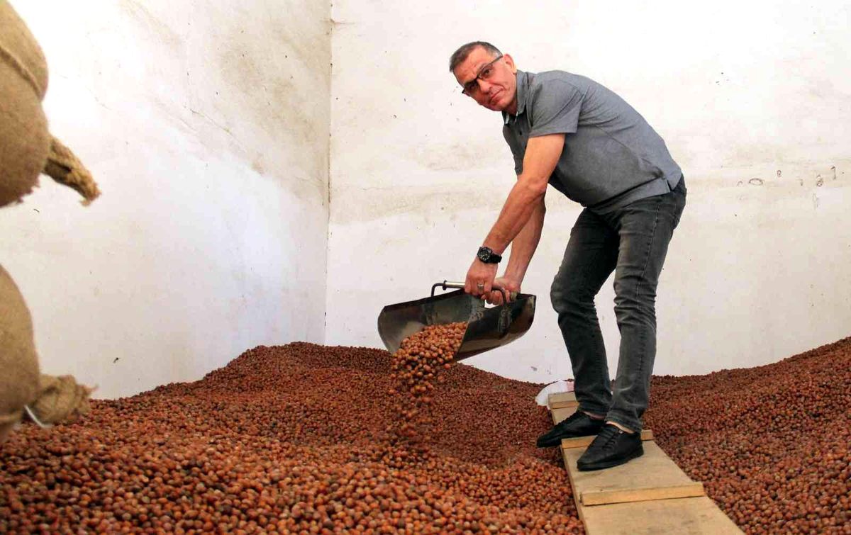 Üreticiler TMO'ya yöneldi