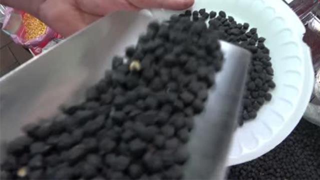 Tohumu yurt dışından olan bu nohuta ilgi büyük